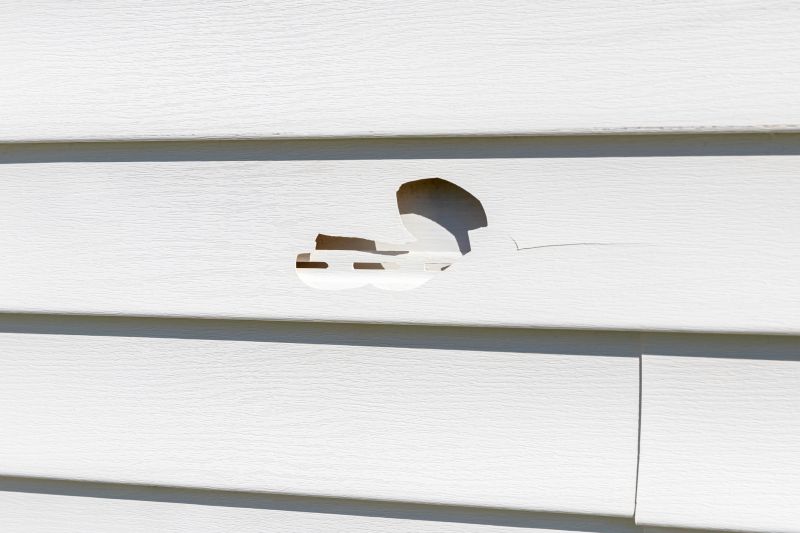 Siding Repair in Spring